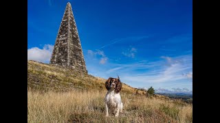 A walk to Neilson Monument near Ringford [upl. by Aziram]