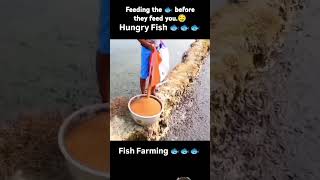 Reacting to this one 128 shorts trending fishing farming [upl. by Ecnarret]