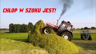 Kukurydza 2020URSUS POWER2x URSUS2x FENDT2x VALTRAJOHN DEERE [upl. by Eudosia397]