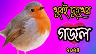 খুবই দুঃখের গজল  Bangla Gazal  Bangla Gajal  Islamic Gazal  Bangla Gojol  Ghazal Gojol 2024 [upl. by Gwenneth]