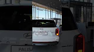 Hyundai Palisade [upl. by Eneja777]