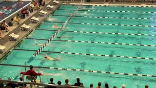 Maximus Williamson Breaks Meet Record With 419  Mens 500 Free A Final  2022 Sectionals  CS [upl. by Ladnyk218]