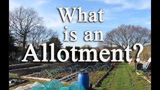 What is an allotment Growing food in the UK [upl. by Hubie]