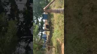 5 Acres Organic Agriculture Land for Lease In Shankarampet Medak Hyderabad [upl. by Marr728]