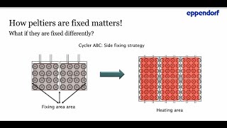 What prevents you from increasing your PCR productivity [upl. by Petulah703]