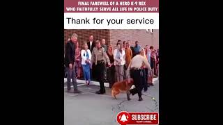 dog police petowner doglover cops dogowner hero love animallover animals [upl. by Sirotek309]