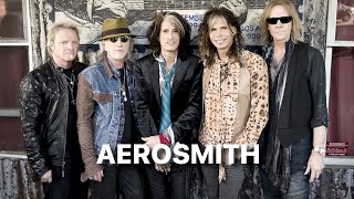 🎸 Aerosmith  now 🎸 [upl. by Ocinemod]