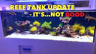 REEF TANK UPDATE  DISASTER… [upl. by Terhune]