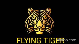 Lady Flying Tiger [upl. by Valenba]