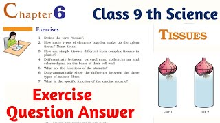 Tissue Class 9 th Science Chapter 6 Exercise Question Answer full Explanation [upl. by Enrol]