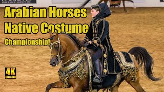 Purebred Arabian Native Costume Champ at Scottsdale Arabian Horse Show [upl. by Amron]