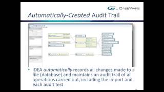 Benefits of CaseWare IDEA [upl. by Odranoel]