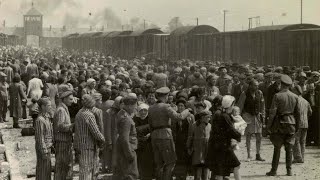 Álbum de Auschwitz las pruebas fotográficas del Holocausto [upl. by Tymothy]