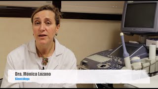 🩸Copa menstrual ¿Qué es y cómo debemos utilizarla [upl. by Urbani]