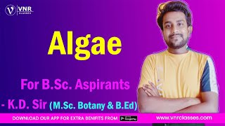 Algae  03  Botany  BSc Semester  I  Class No 37  UNIT 03  BY  KD SIR [upl. by Enaols]