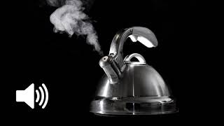 Whistling Kettle Sounds Effect [upl. by Aikram]