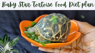 Indian Baby Star tortoise food diet [upl. by Aleehs]