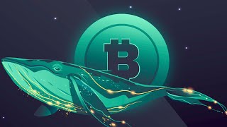 How To Track Crypto WHALE Wallets Find GEMS Early [upl. by Bevus]