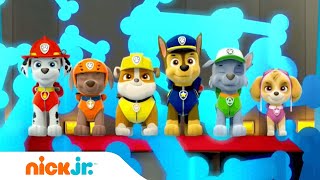 Psi Patrol Polska  Piosenka Czołówkowa Muzyka  Nick Jr [upl. by Elijah923]