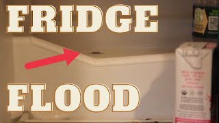 Fridge Leaking Water 30 Second Fix [upl. by Lacagnia971]