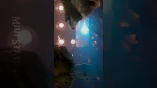 ROCKET X STAR LORD  Funny Scene The Guardian Of Galaxy rocket starlord views viralvideo [upl. by Leugar]