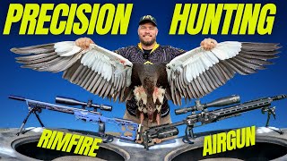 PRECISION HUNTING WITH AIRGUN AND RIMFIRE I AIRGUN AND RIMFIRE COMPARISON PT1 [upl. by Nevah]