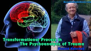 Transformational Process in the Psychoanalysis of Trauma by Donald Kalsched  part 4 [upl. by Gibbon46]