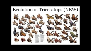 Ceratopsian family tree [upl. by Maury682]