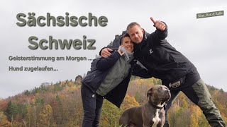 V37 Sächsische Schweiz youtube vlog Autark mit Wohnmobil amp Hund zwischen Pirna amp Bad Schandau [upl. by Ytsirhk]