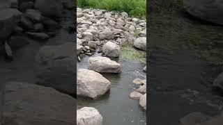 WaterfallRiffle on the Des Plaines River [upl. by Boucher33]