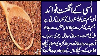 health benefits of flax seeds in hindiurdu I Alsi Ke Beej Ke Fayde I Alsi Ke Fayde I flax seed [upl. by Lani]