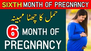 6 Month Of Pregnancy ll SIXTH Month of Pregnancy Baby Development Food to Eat حمل کا چھٹا مہینہ [upl. by Ozan]