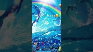 I JS WANNA BE PART OF UR SYMPHONYYY🐬🌈✨ music symphony funny trend dolphin [upl. by Screens]