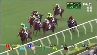 HK Horse Racing at Shatin  Race 6 09112024 prestonepie4395 [upl. by Notsla225]