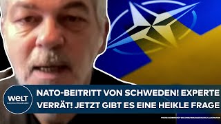 PUTINS KRIEG NATOBeitritt von Schweden Militärexperte verrät Jetzt gibt es eine heikle Frage [upl. by Etterraj]