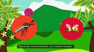 TRAILER POLINIZADOR MOSQUITA [upl. by Nami976]