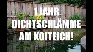 Koiteichblog 60 ★ 1 Jahr Dichtschlämme [upl. by Anyahs391]