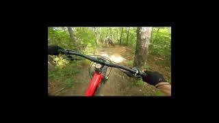 Epic Pisgah MTB Highlights shorts mtb mountainbiking bike gopro enduromtb mtblife ripping [upl. by Eliason]