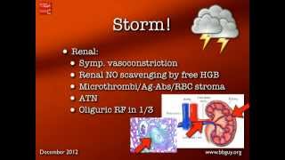 Transfusion Reactions Part 2 [upl. by Klingel]