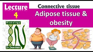 Adipose tissue and obesity [upl. by Adraynek]