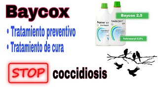 Tratamiento preventivocura de la coccidiosis  Baycox  🛑 stop coccidio 🛑 [upl. by Slifka678]