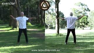 Larry Friedberg Taijisydney Exercise 2  Song Gong 2 [upl. by Fritzie559]