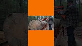 Unbelievable WoodMizer Sawmill Cutting Speed [upl. by Nikola228]