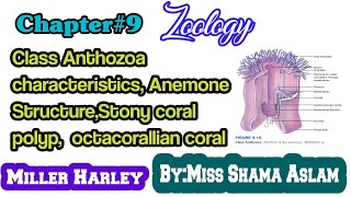 Ch9 Class Anthozoa characteristics Anemone StructureStony coral polyp octacorallian coral [upl. by Burger]