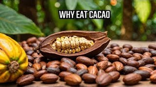 Amazing Health Benefits of Cacao Why You Should Indulge [upl. by Ballman]