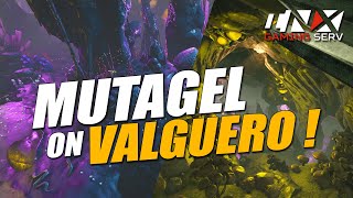 MUTAGEL ON VALGUERO  INX PVP 4MAN x5 [upl. by Ynohtona447]