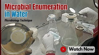 Water Testing Methods MacConkey Agar Membrane Filtration amp WFI Analysis  Microbiology Laboratory [upl. by Lenehc]