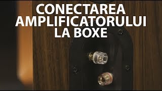 Tutorial cum conectezi amplificatorul la boxe [upl. by Anaile]