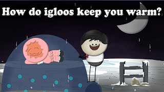 How do igloos keep you warm  aumsum kids science education children [upl. by Relluf753]