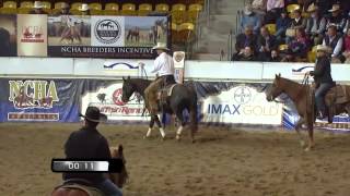 2014 NCHA FUTURITY TAMWORTH [upl. by Lias]